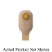 Premier™ 85211 HOL85211